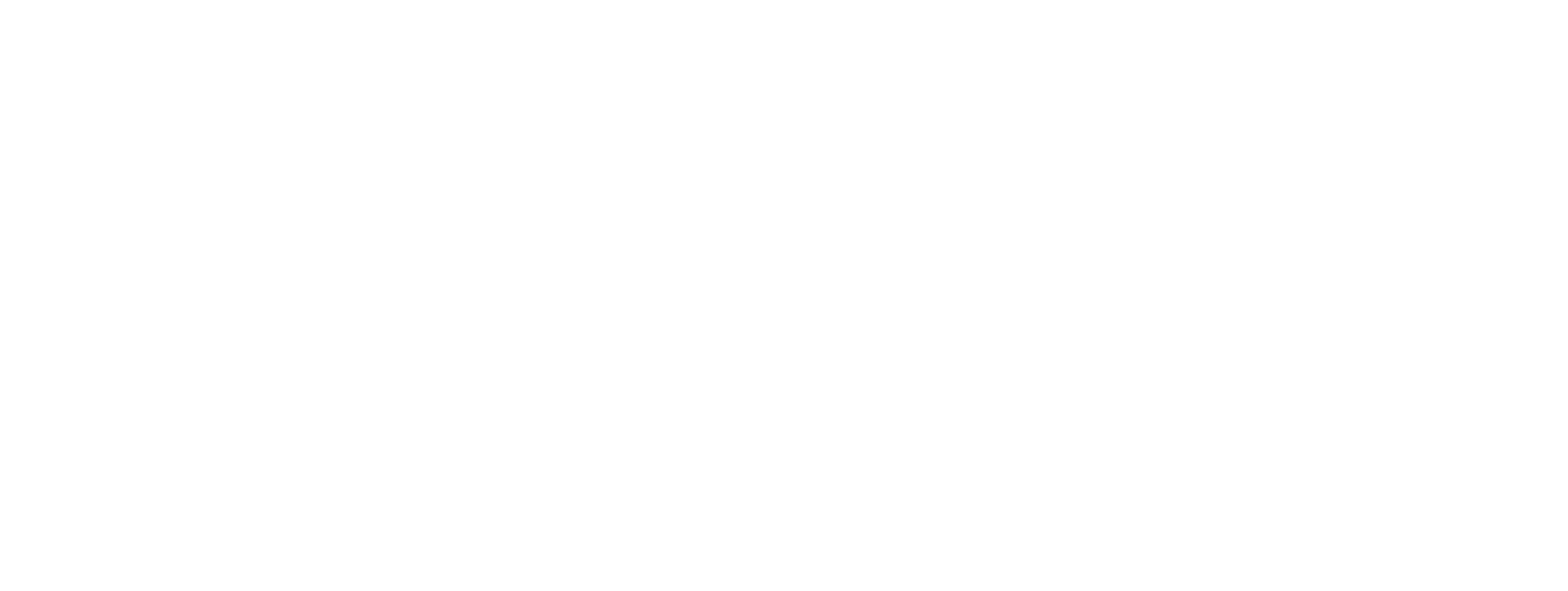 Vision logo